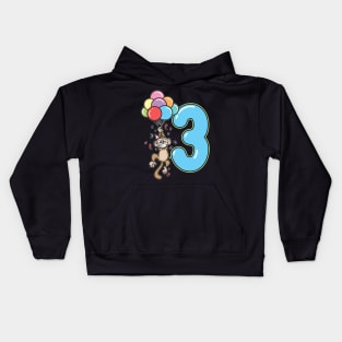 Third 3rd Birthday Balloon Monkey Kids Hoodie